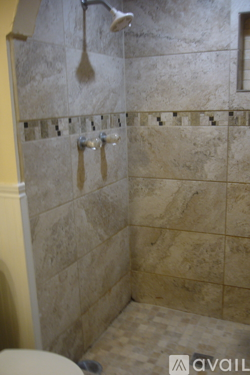 A bathroom with a shower head and a toilet.