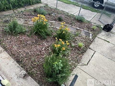A garden with yellow flowers and green plants.