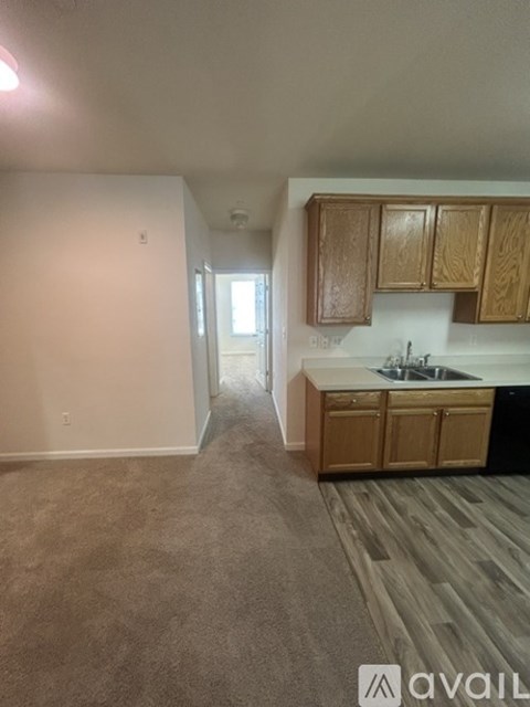 A kitchen with wooden cabinets and a sink is available for rent.