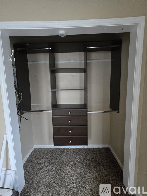 A walk-in closet with a white door, a grey carpet, and a brown dresser.