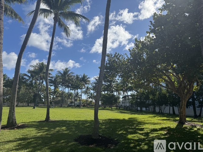 A grassy area with palm trees and a tree with a sign that says "AVAIL".