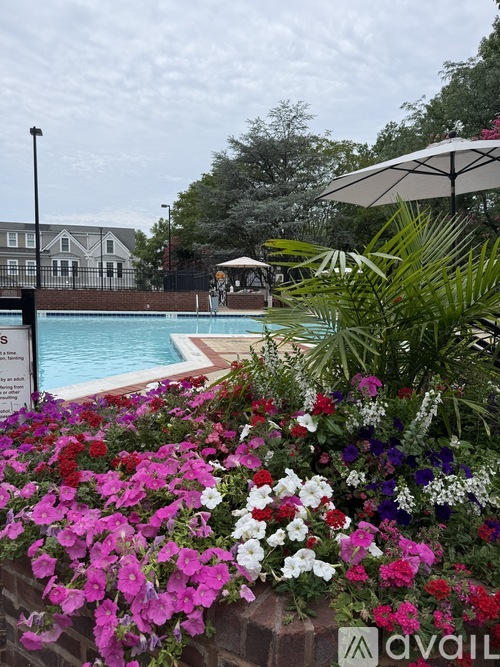 A pool surrounded by flowers and a sign that says "available".