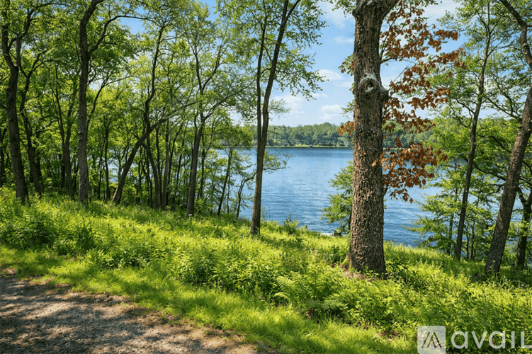2470 Crooked Lake Rd 4 Beds Single Family Home for Rent - Photo gallery 2