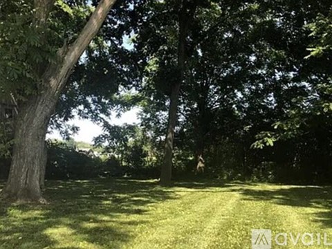 A grassy area with trees and sunlight filtering through the leaves.