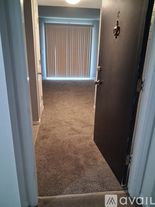 A hallway with a carpeted floor and a closed door with a handle.
