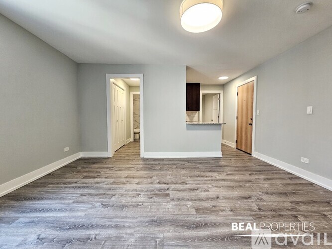 445 W Barry Ave Studio Apartment for Rent - Photo gallery 2