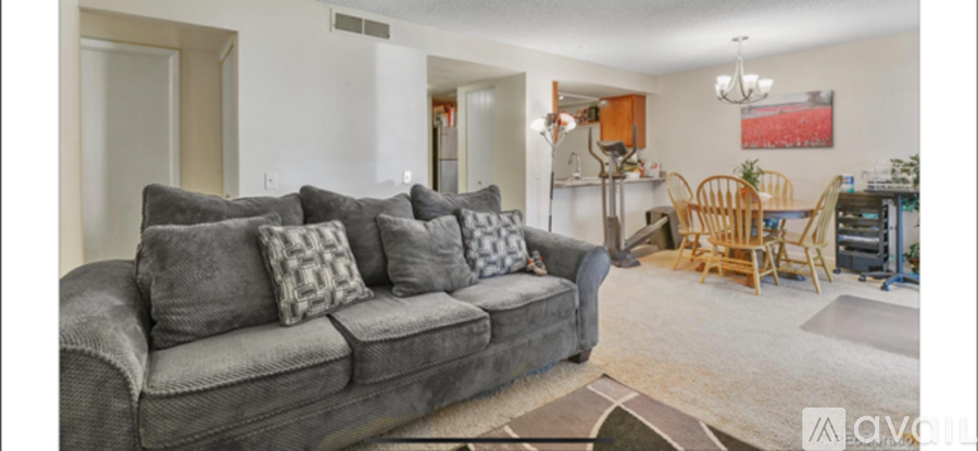 A living room with a grey couch and a rug.
