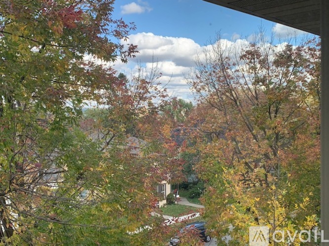 821 W 5th St 2 Beds Apartment for Rent - Photo gallery 5