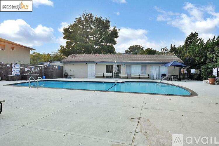 A pool in a backyard with a house in the background.
