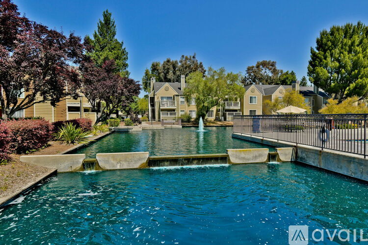 A pool surrounded by residential houses and trees.