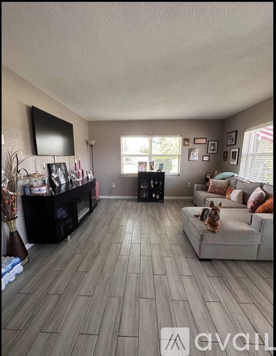 A living room with a couch, a television, and a dog.