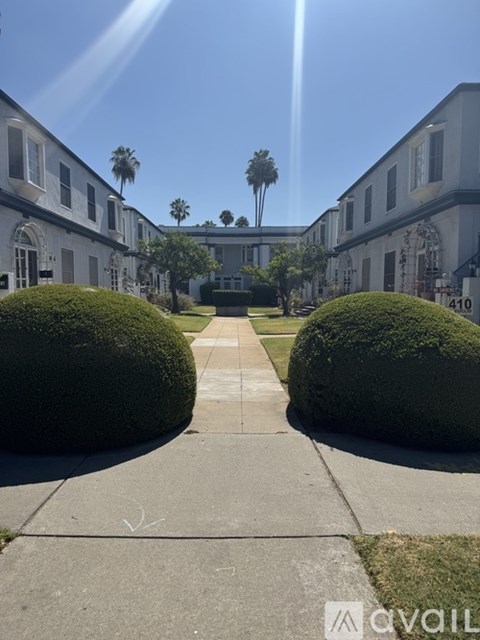 A sunny day at the courtyard with a pathway, two round bushes, and a building in the background.