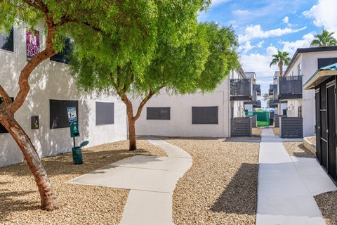 A tree-lined walkway in front of a white building.