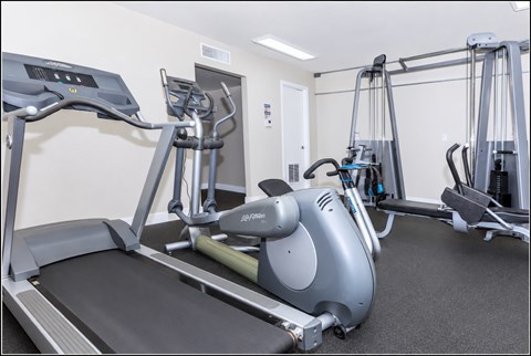 A treadmill and a rowing machine in a gym.