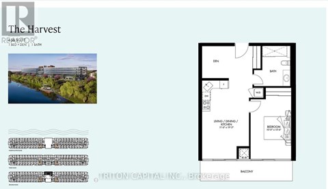 201 - 350 PRINCE CHARLES DRIVE S 1 Apartment for Rent