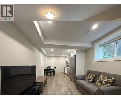 A living room with a grey couch and a television.