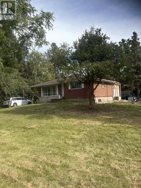 A house with a tree in front of it.