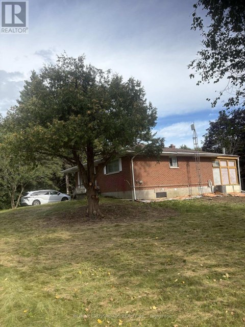 A tree in front of a house with a car parked in the driveway.
