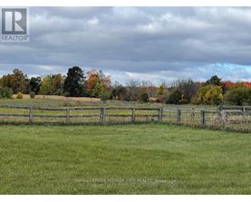A field with a fence and trees in the background.