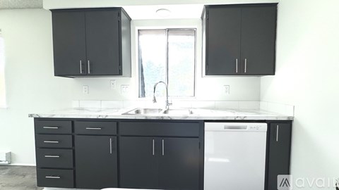 A kitchen with black cabinets and a white dishwasher.