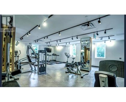 A well-equipped gym with various exercise machines and a large mirror on the wall.