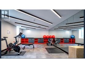 A gym with a stationary bike, a row of red and blue exercise balls, and a bench press setup.