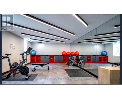 A gym with a stationary bike, a row of red and blue exercise balls, and a bench press setup.