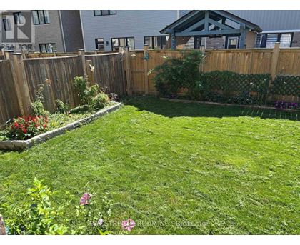 A backyard with a wooden fence and a green lawn.