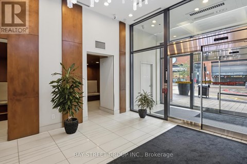 A potted plant sits on a black rug in front of a glass door.