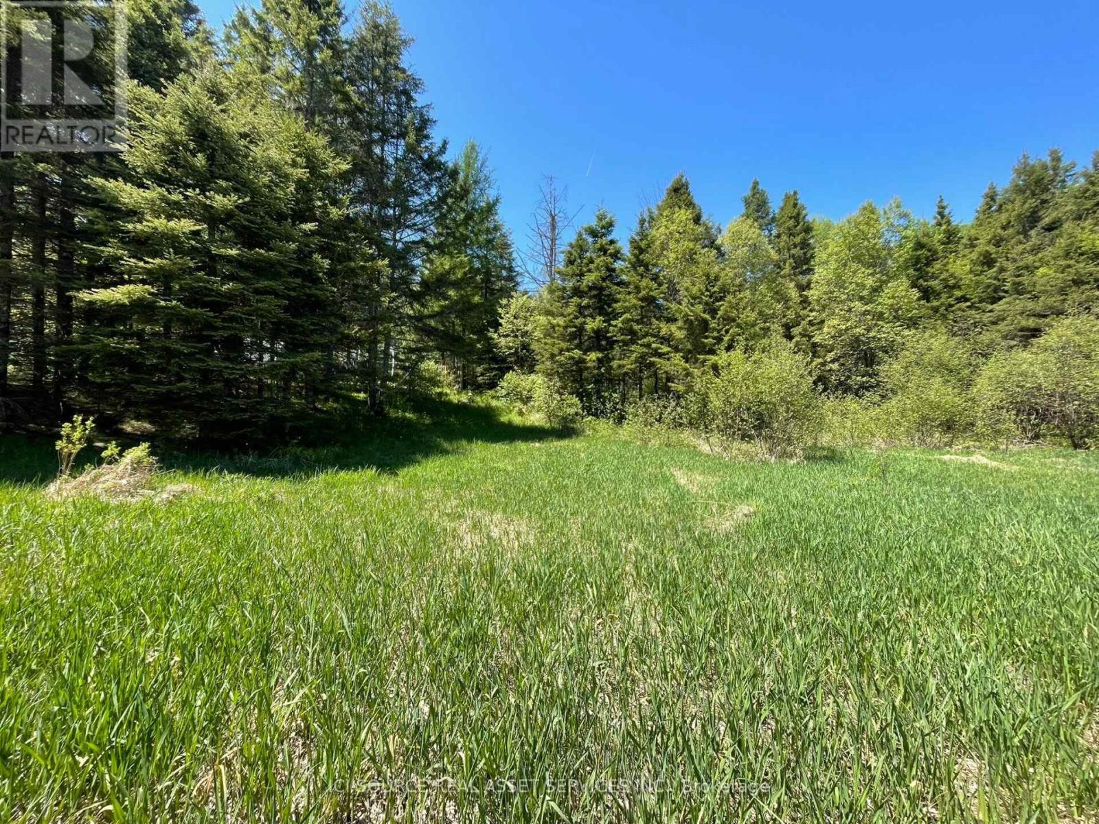 studio apartment - 4 - 93 RYE ROAD 4, Parry Sound Remote Area (Lount) 5