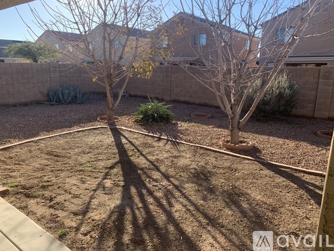 A backyard with two trees and a fence.