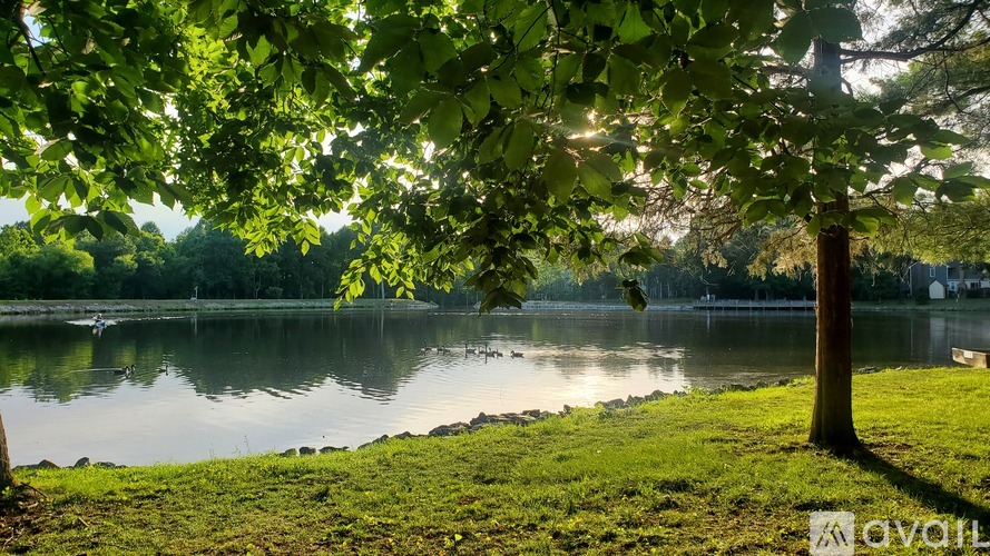 A serene lake surrounded by lush greenery and trees.