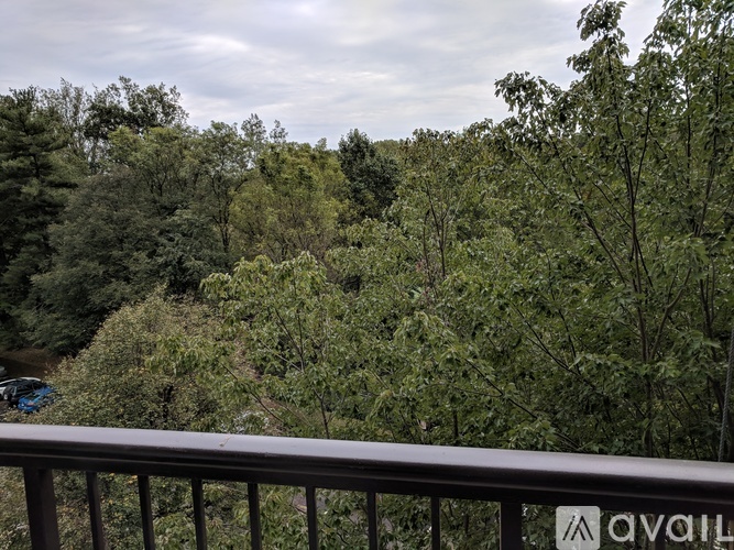 3800 Powell Lane 1 Condo for Rent - Photo gallery 2