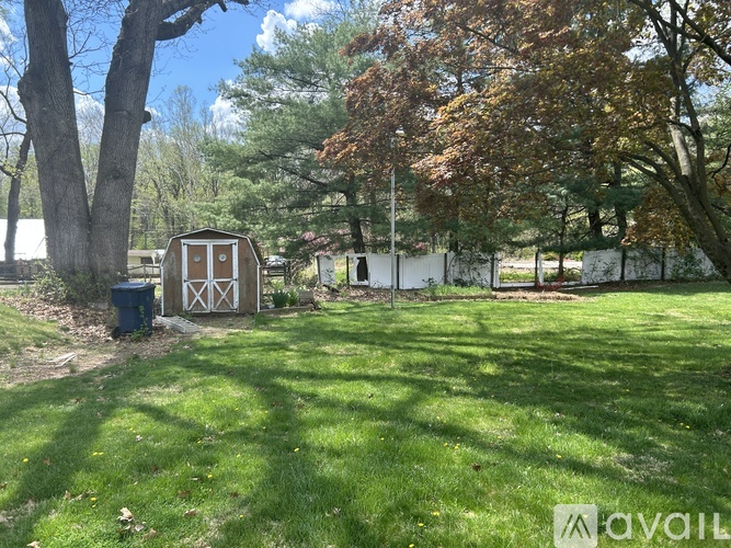 A small wooden shed sits in a grassy yard.