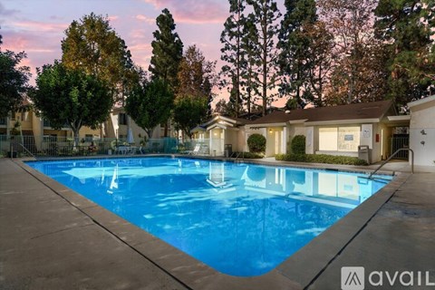 A swimming pool surrounded by trees and a building in the background.