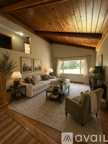 A living room with a couch, chair, and a rug.