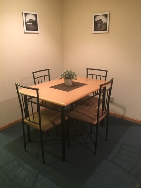 A table with chairs and a potted plant on it.