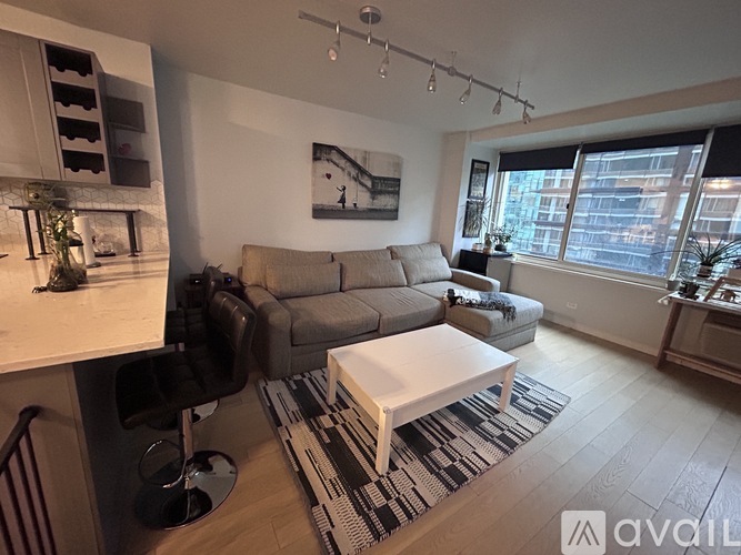 211 East Ohio Street 1 Condo for Rent - Photo gallery 3
