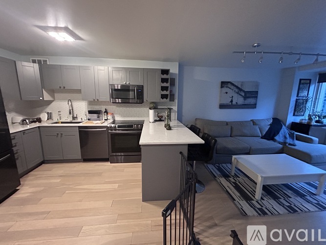 211 East Ohio Street 1 Condo for Rent - Photo gallery 4