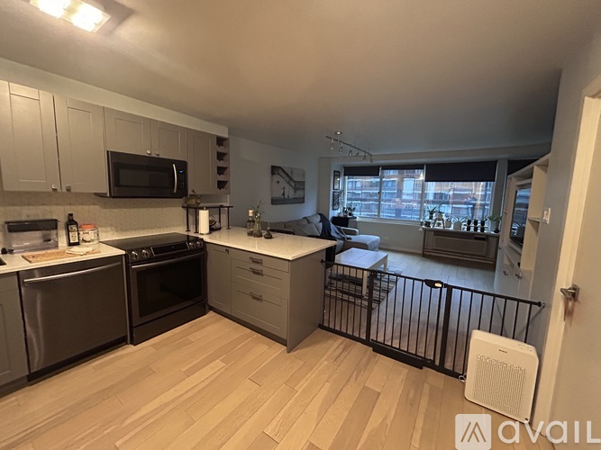 211 East Ohio Street 1 Condo for Rent - Photo gallery 5