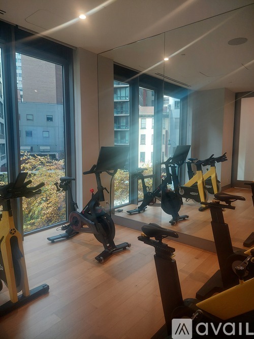 A gym with exercise bikes and a view of the city.
