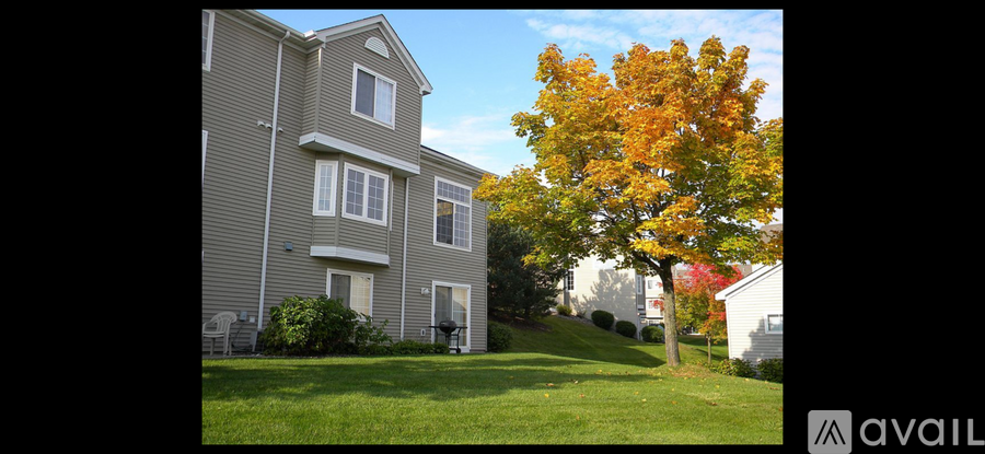 A tree with orange leaves is in front of a grey building.