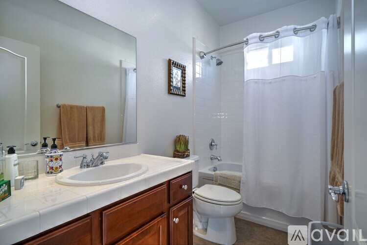 Private Suite In San Elijo Hills 1 Single Family Home for Rent - Photo gallery 4
