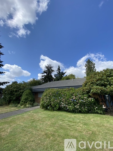 A house with a large lawn and trees in the background.