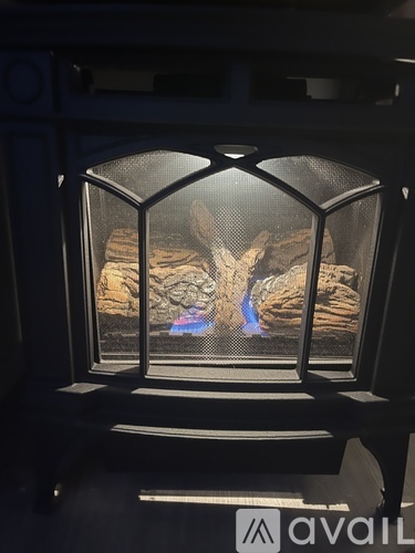 A modern fireplace with a glass front and a fire burning inside.