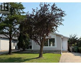 A house with a tree in front of it.