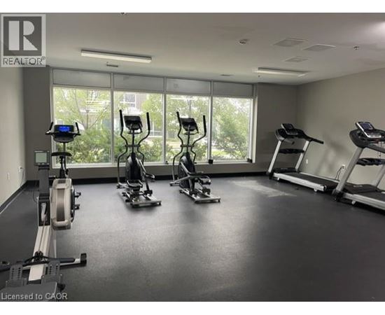 A gym with treadmills, elliptical machines, and a rowing machine.