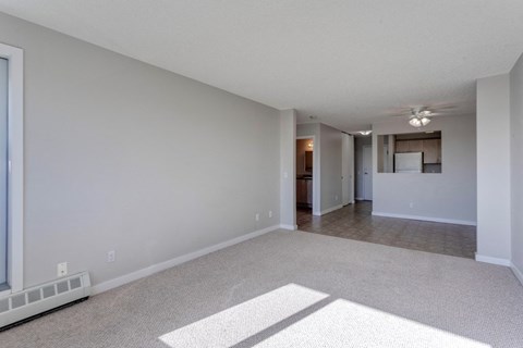 A spacious living room with a rug on the floor and a window on the left side.