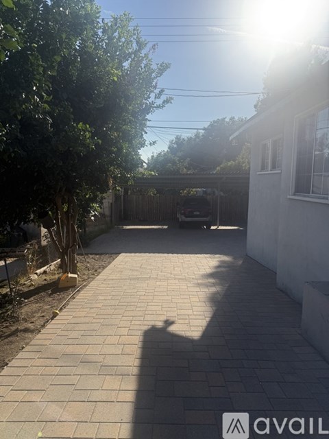 A backyard with a paved walkway and a tree.