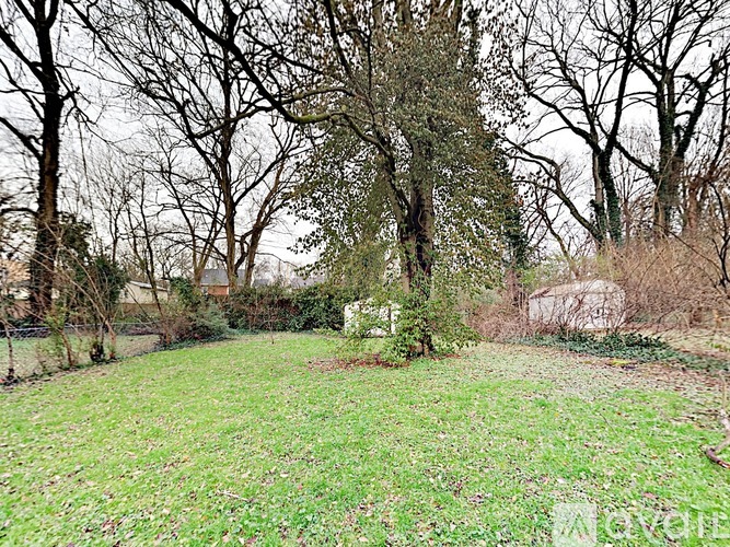 A grassy area with trees and a shed in the background.
